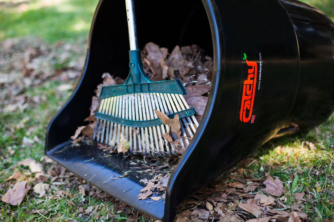 Leaves being raked directly into the extended flat lip of a Catchy Can